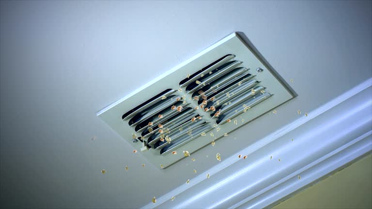 Best HVAC Duct Inspection Services  in Pawnee, IL